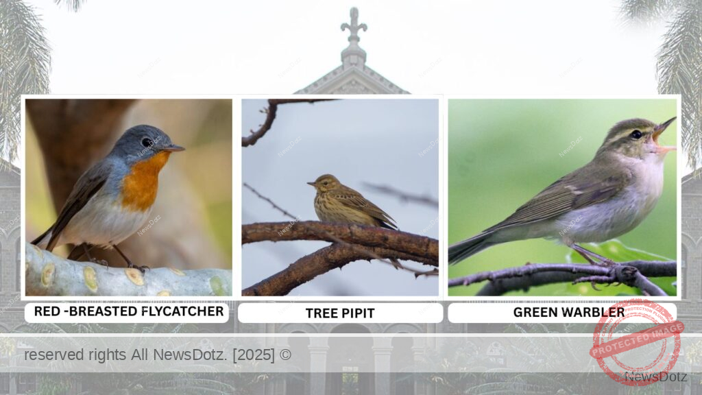 Birdsong at Ferguson College: A Sanctuary for Avian Diversity