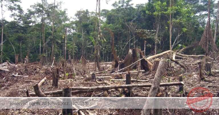 Pune’s Green Crisis: Rampant Tree Cutting by PCMC Sparks Ecological Concerns