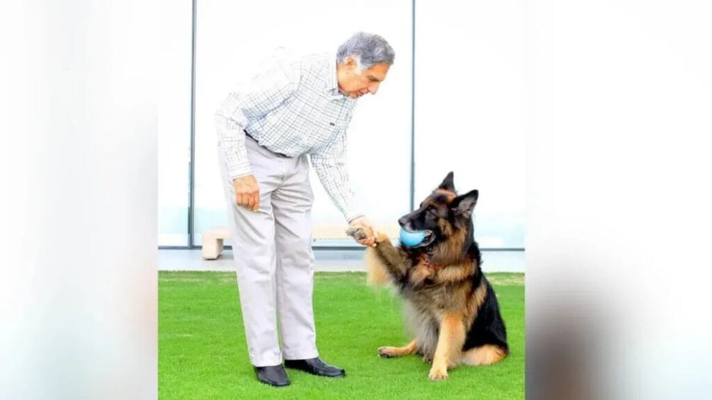 Ratan Tata’s Legacy of Compassion: Financial Provisions for His Beloved Pets and Animal Welfare Initiatives