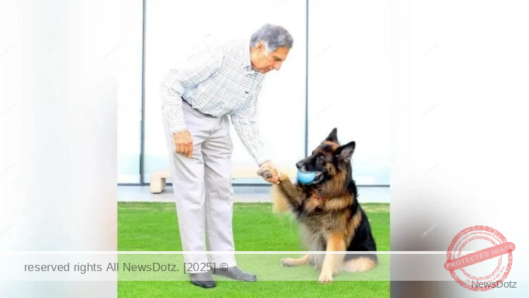 Ratan Tata’s Legacy of Compassion: Financial Provisions for His Beloved Pets and Animal Welfare Initiatives