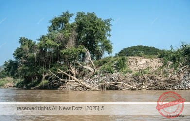 Unauthorized Felling of 33 Trees During Mula River Project Sparks Outrage