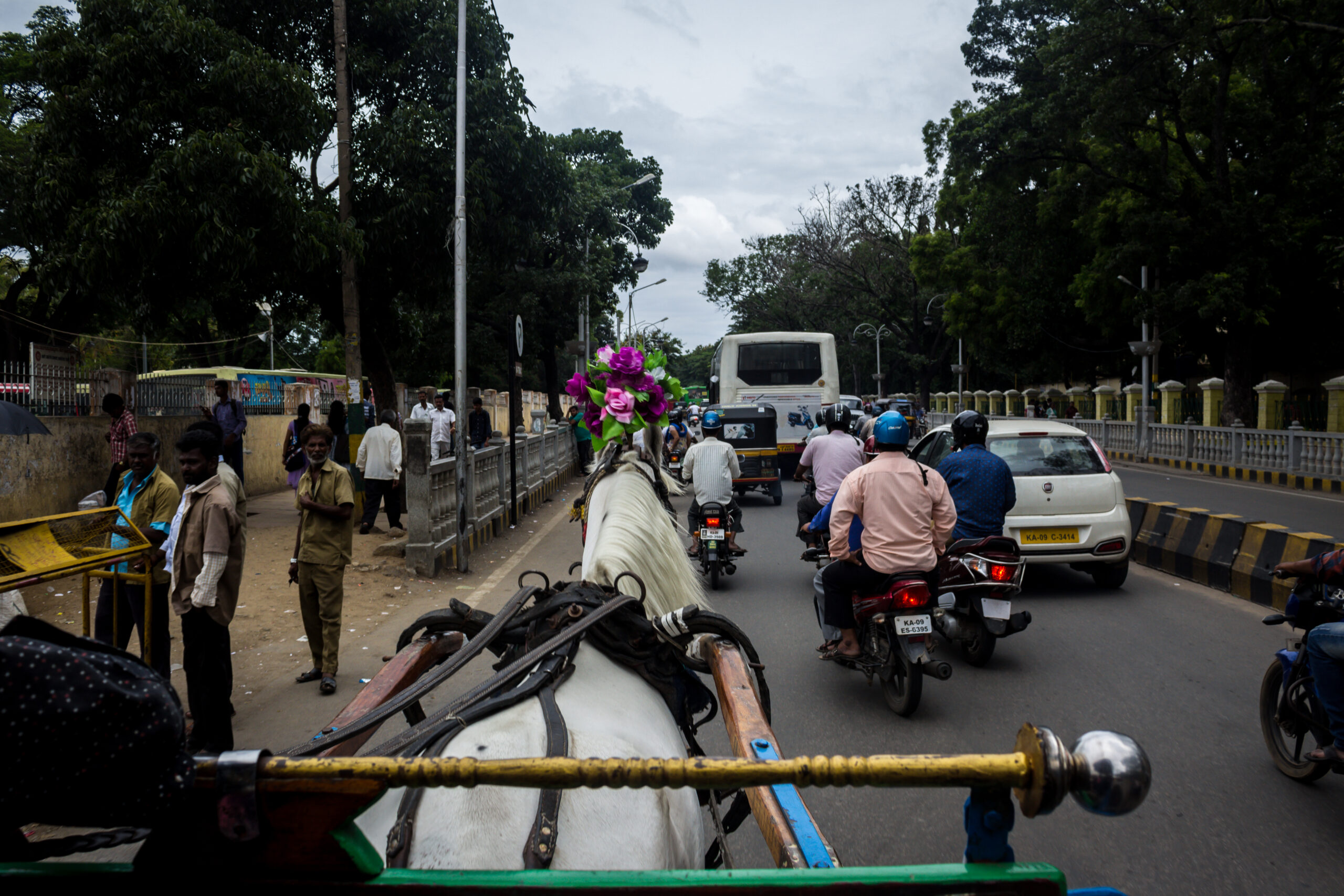 Horse pulling a carriage through the city