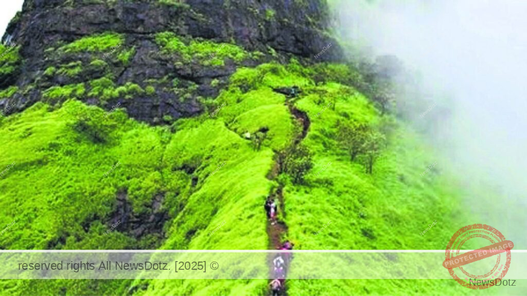Monsoon Siddhagad Trek Turns Tragic: Navi Mumbai Youth Dies After Fall at Siddhagad Fort 1 Untitled design - 2025-06-18T114638.097