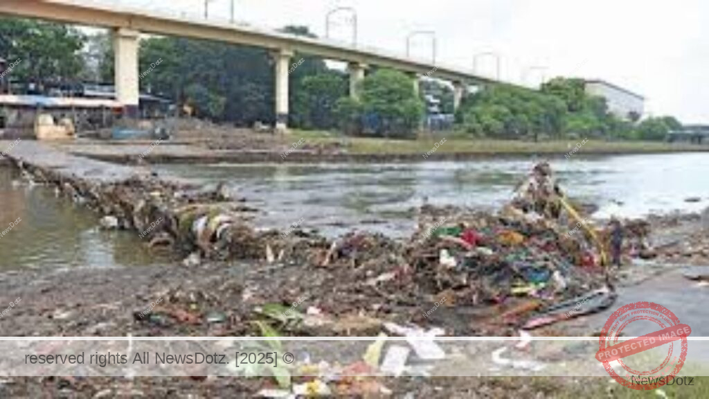 Pune's Mula-Mutha River to Be Freed from Obsolete Dams; PMC Begins Cleanup but Leaves Bridge Debris Behind 1 Untitled design - 2025-06-20T104653.621