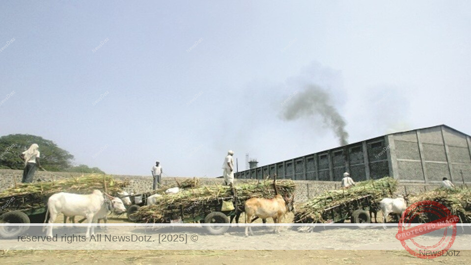 Maharashtra Sugar Mills to Face Crackdown on Payments to Farmers 1 sugar-mills_1551225315181