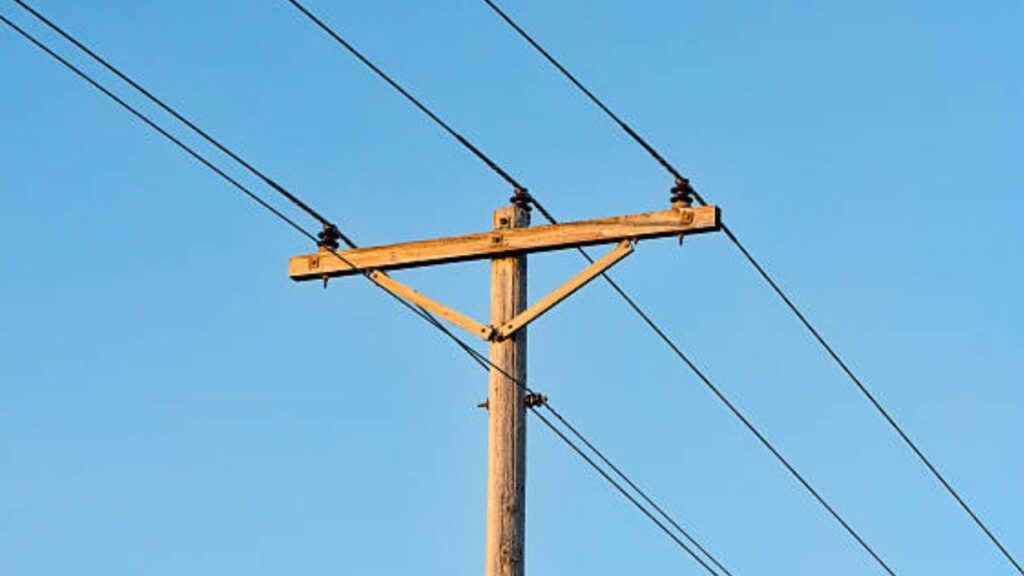 Powering Through: Maharashtra’s Electricity Strike on July 9 Won’t Dim Homes 2 Untitled design 79 3