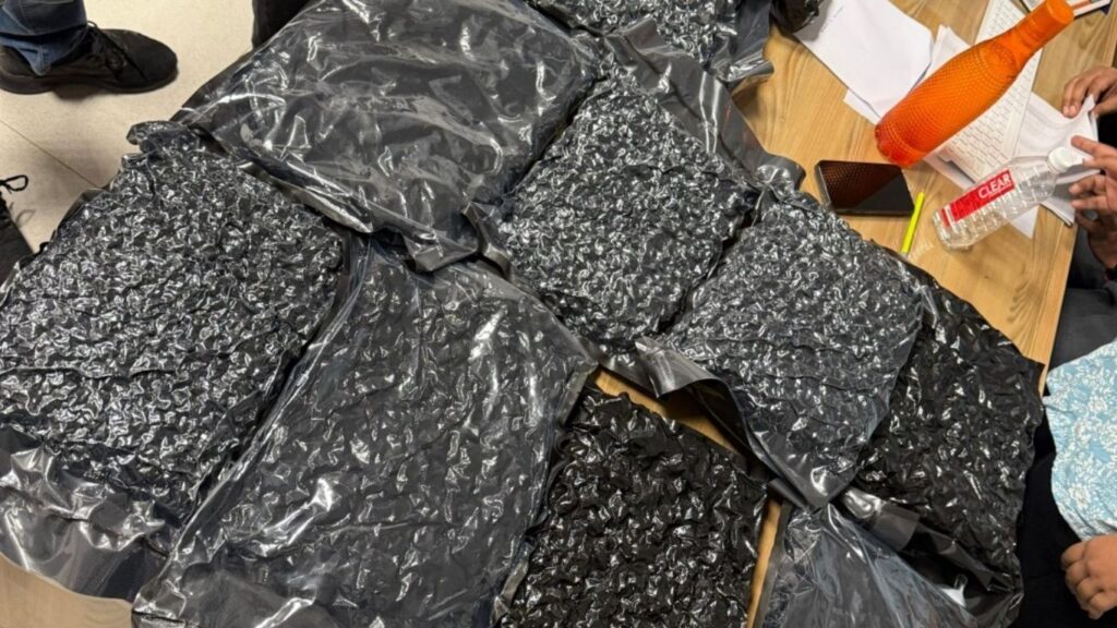 Pune Airport Bust: ₹10.5 Crore Hydroponic Weed Seized from Bangkok Traveler 2 mrudula 47 1
