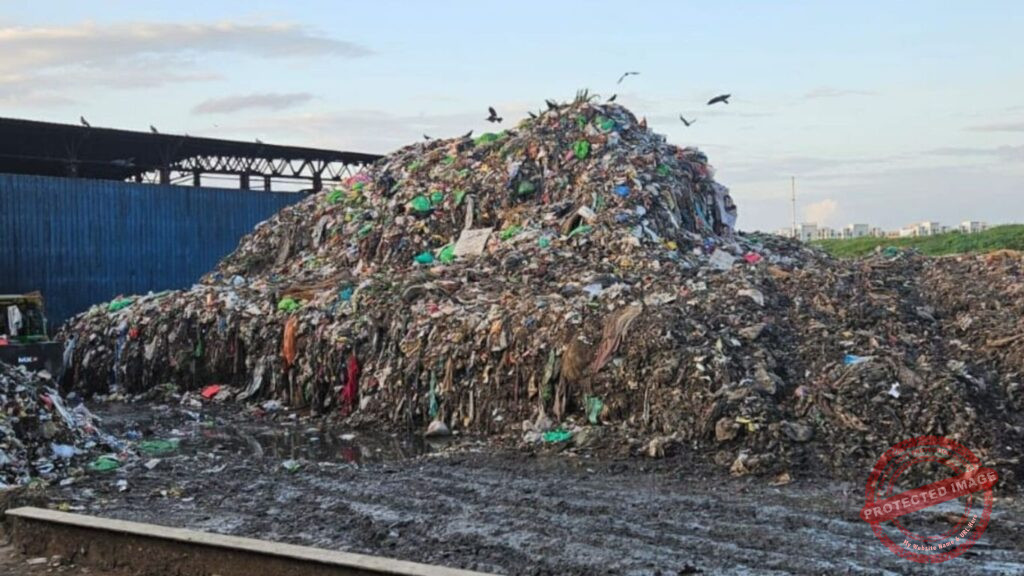 mrudula - 2025-10-13T103107.684