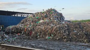 mrudula - 2025-10-13T103107.684