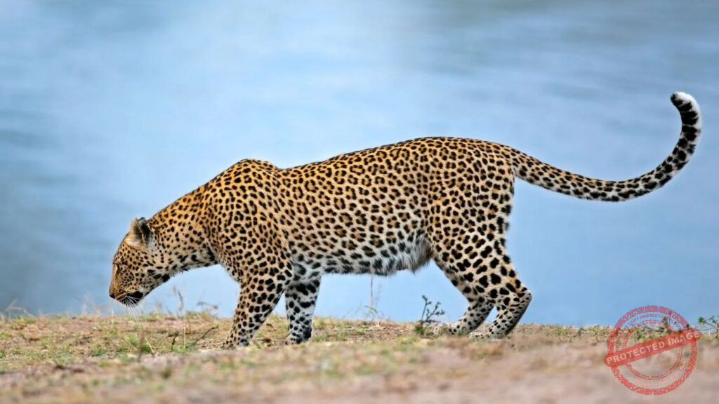 mrudula - 2025-10-13T110212.644