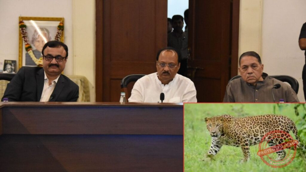 mrudula - 2025-10-16T133212.363