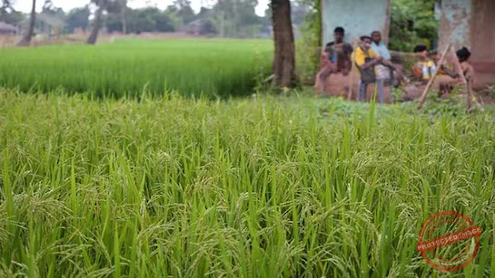 Bawankule addressed farmer grievances and promised a farm‑loan waiver soon