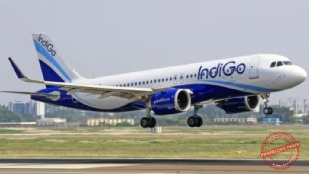 IndiGo