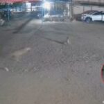 Leopard Caught on CCTV Dragging Dog in Pune’s Ambegaon Taluka- Fresh Fears Over Man-Animal Conflict