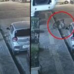 Leopard Sighting in Mulund Sparks Panic After Viral Video Shows Wild Animal Attacking Stray Dog