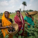 14939757856_3faced8eff_6k