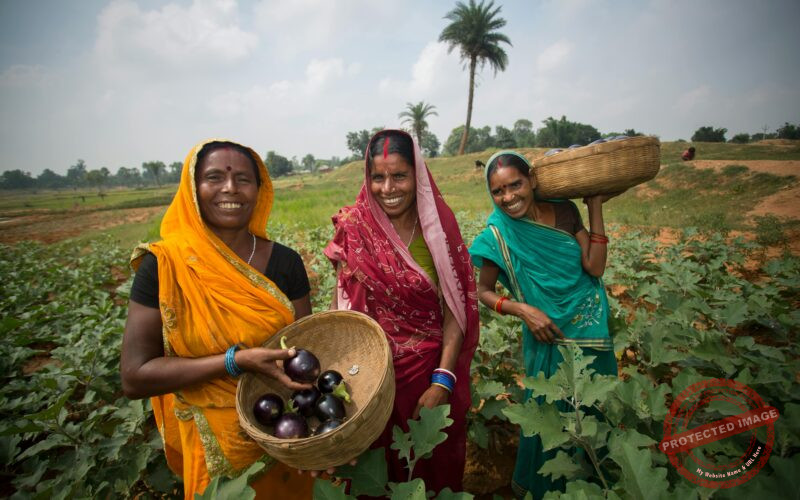 14939757856_3faced8eff_6k