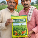 Iran Tensions Could Intensify Urea Shortage Concerns for Telangana Farmers