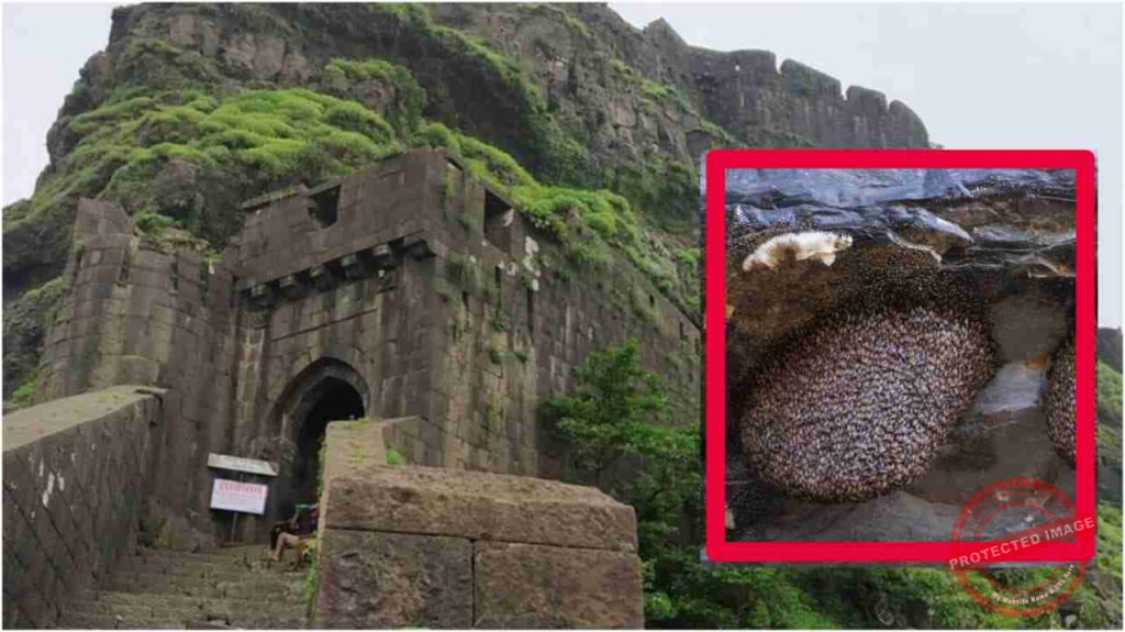 Sinhagad Fort