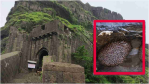 Sinhagad Fort