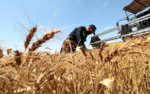 Crisis Threatens Global Food Security