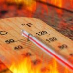 Maharashtra Govt Issues Heatwave SOPs to Protect Citizens, Outdoor Workers Amid Rising Temperatures