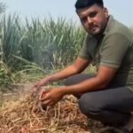 farmer