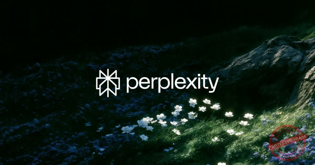 Perplexity