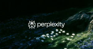 Perplexity