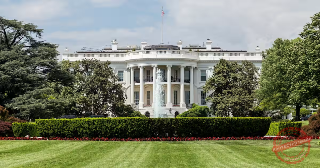 white house
