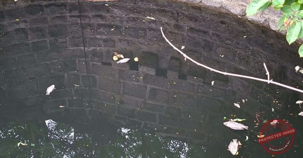Mass Fish Deaths, Blackened Water Raise Pollution Concerns in Ambegaon Village