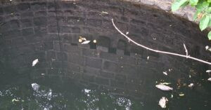Mass Fish Deaths, Blackened Water Raise Pollution Concerns in Ambegaon Village