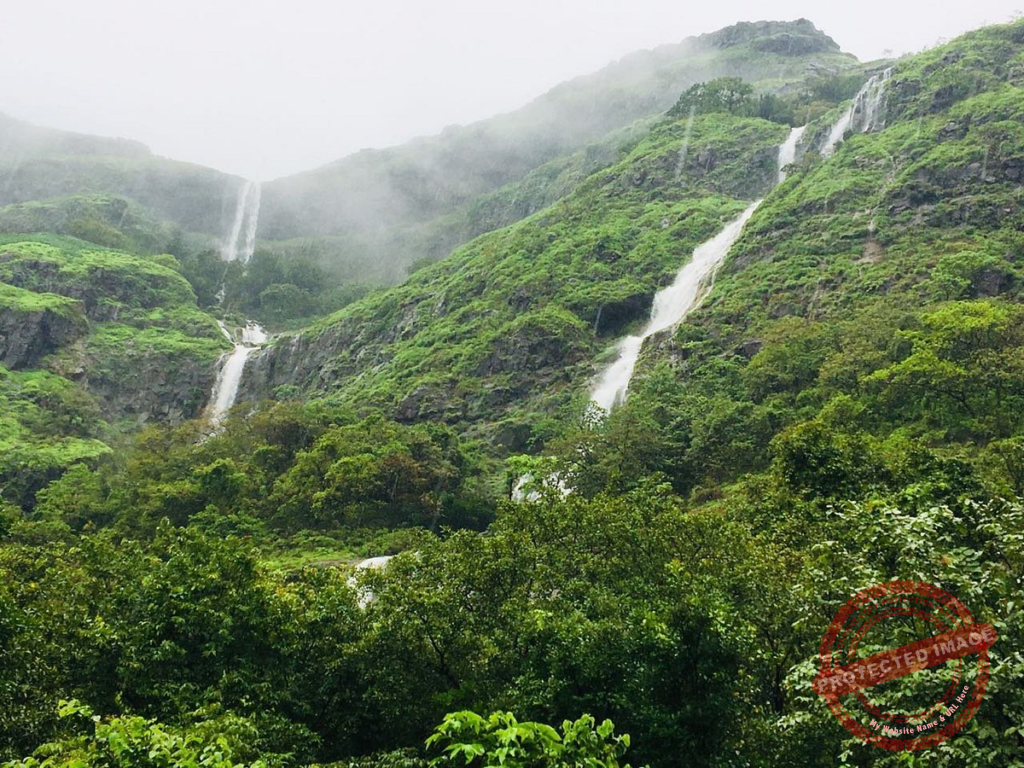 Pune Ghat Region Under Red Alert as IMD Warns of Extremely Heavy Rain Across Maharashtra