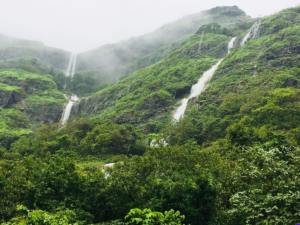Pune Ghat Region Under Red Alert as IMD Warns of Extremely Heavy Rain Across Maharashtra