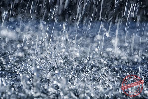 Maharashtra Braces for Heavy Rainfall as IMD Issues Red, Orange and Yellow Alerts Across State