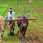Maharashtra Announces Farm Loan Waiver Up to ₹2 Lakh