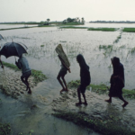 Yellow Alert Issued for Northeast Maharashtra; Pune Gets Relief from Heavy Rain Till July 15