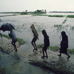 Yellow Alert Issued for Northeast Maharashtra; Pune Gets Relief from Heavy Rain Till July 15
