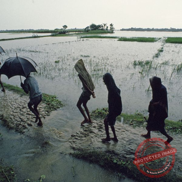 Yellow Alert Issued for Northeast Maharashtra; Pune Gets Relief from Heavy Rain Till July 15